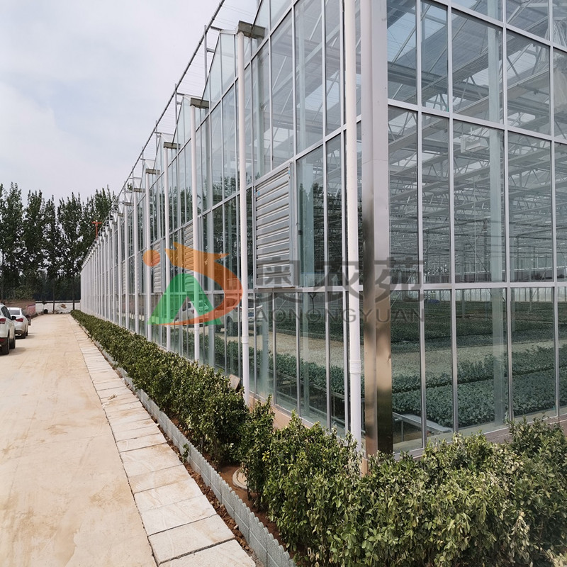 山西運城綠色蔬菜智慧產業園連棟玻璃溫室項目4608㎡