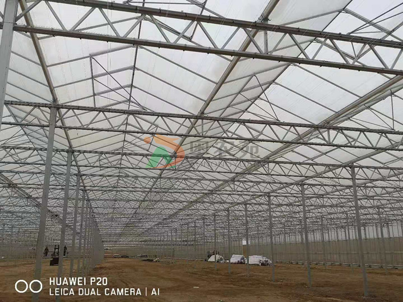 甘肅高新農業示范園區新型智能荷蘭溫室項目30000㎡